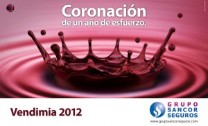 Desde el diseño del packaging hasta la producción de la campaña de publicidad.